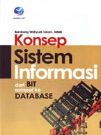 KONSEP SISTEM INFORMASI DARI BIT SAMPAI KE DATABASE