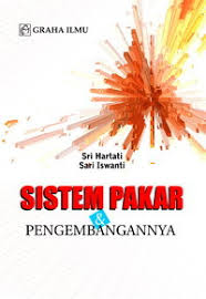 Sistem pakar & perkembangannya