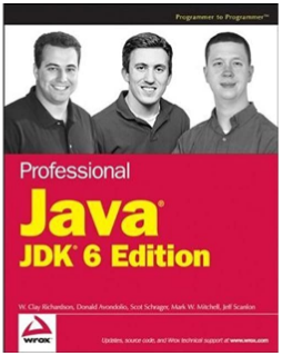 Professional java JDK 6 edition