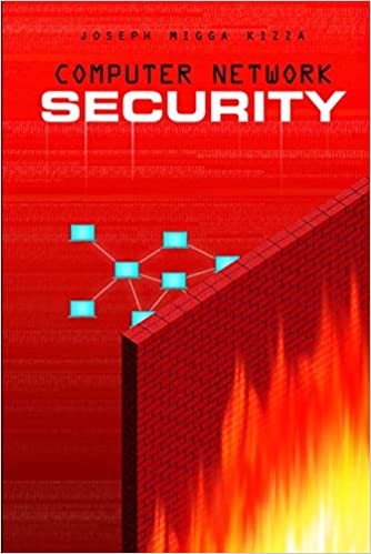 Computer network security