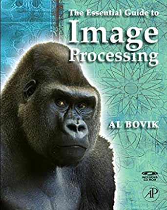 The essential guide to image processing