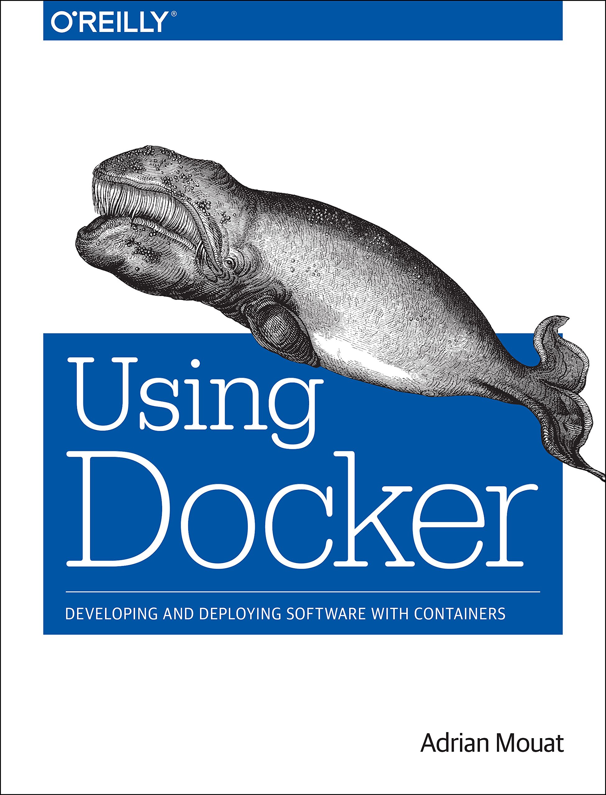 Using docker: developing and deploying software with containers
